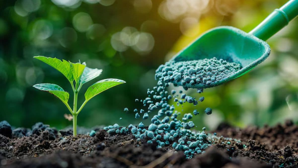 Engrais marocains : les agriculteurs américains demandent la suppression des droits compensatoires